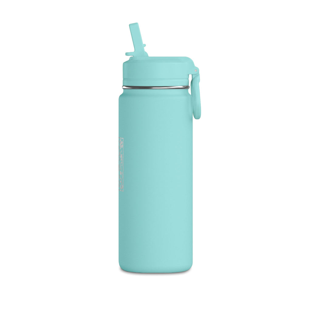 Spotlight Oasis Stainless Straw 20oz Mini Water Bottle (Engraved)